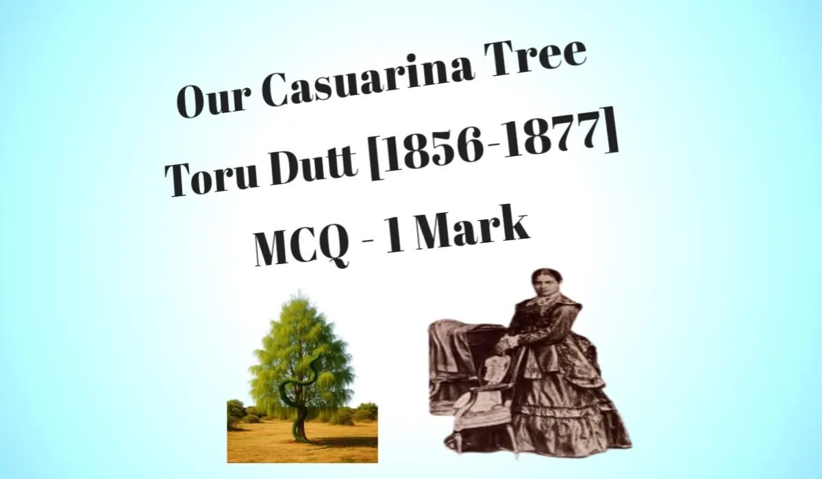 Our Casuarina Tree MCQ